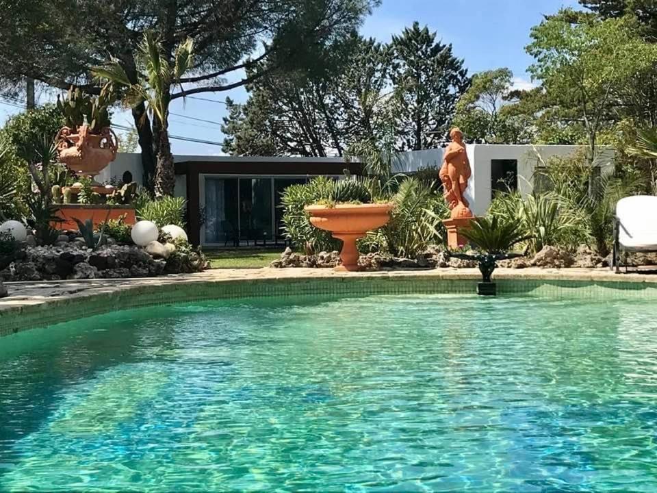 베지에 La Cactee Singuliere B&B 외부 사진