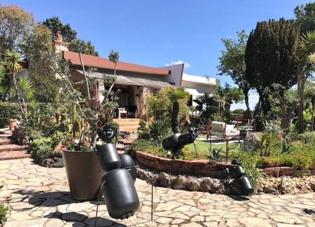 베지에 La Cactee Singuliere B&B 외부 사진
